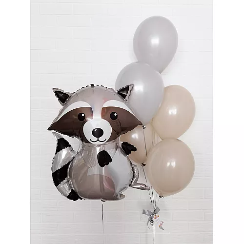 Шары № 657